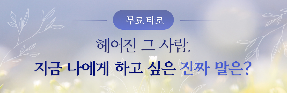 배너