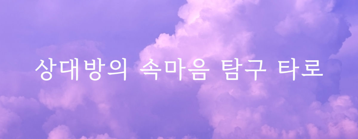 타로 이미지