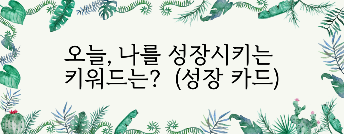 타로 이미지