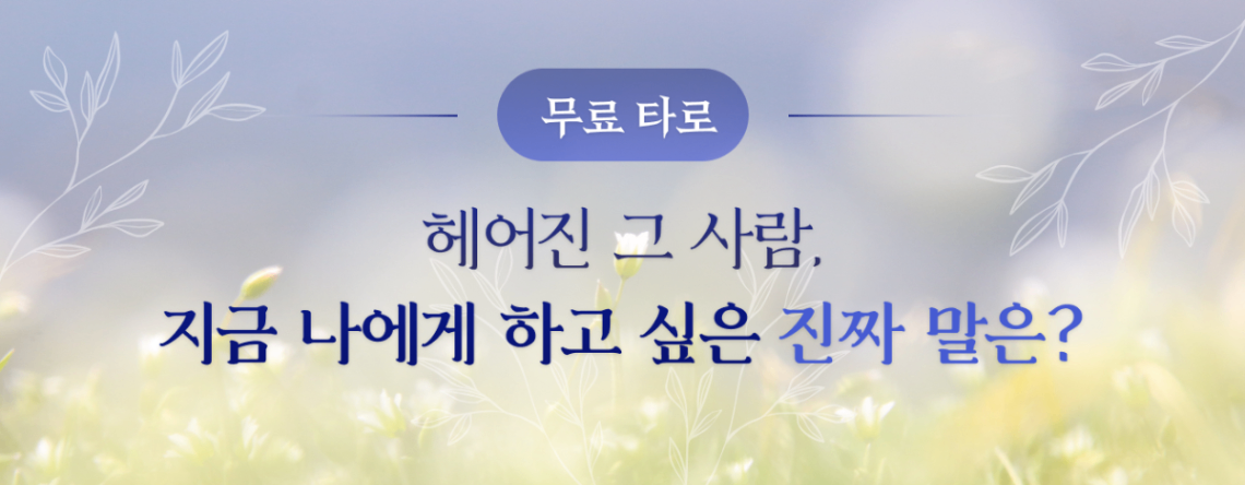 타로 이미지