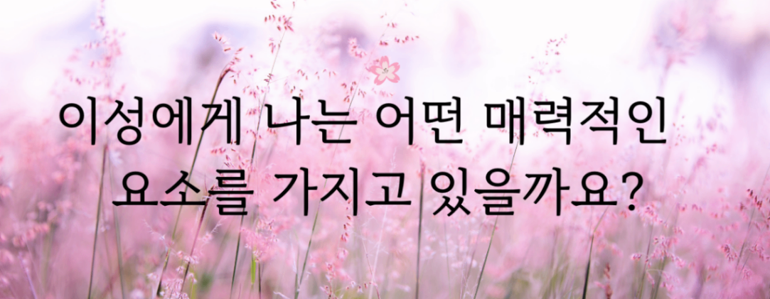 타로 이미지