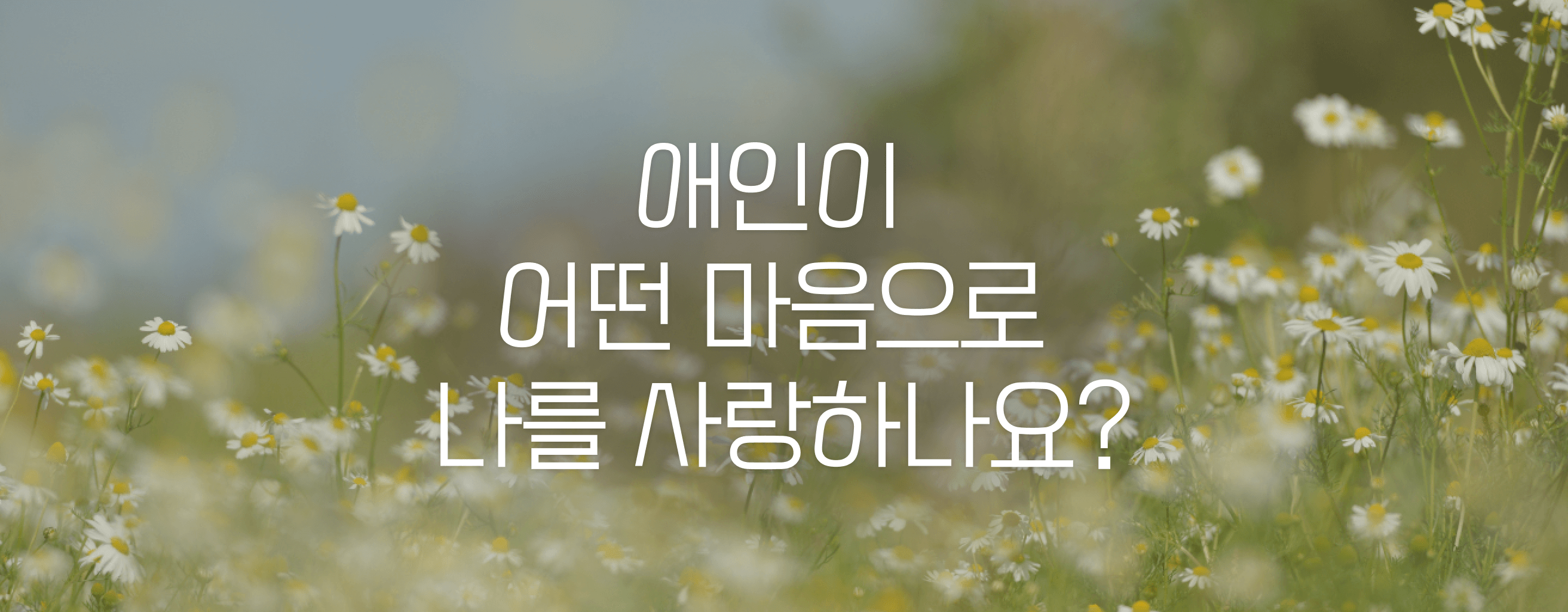 타로 이미지