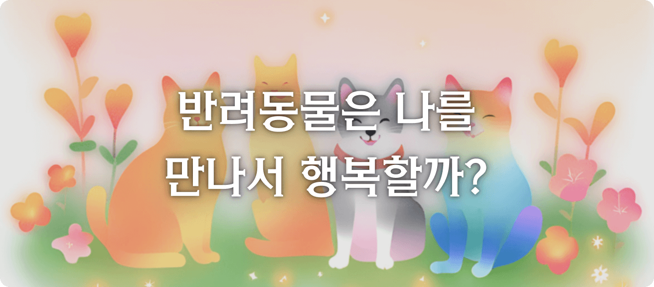 타로 이미지