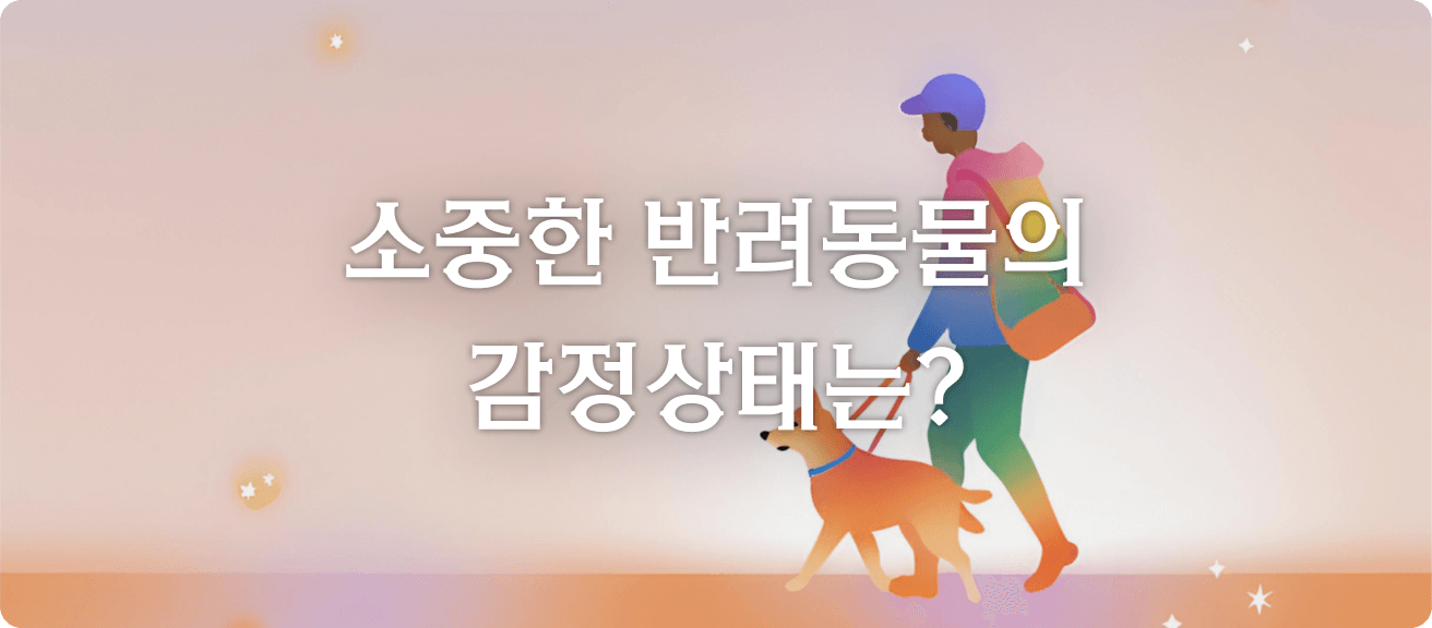 타로 이미지