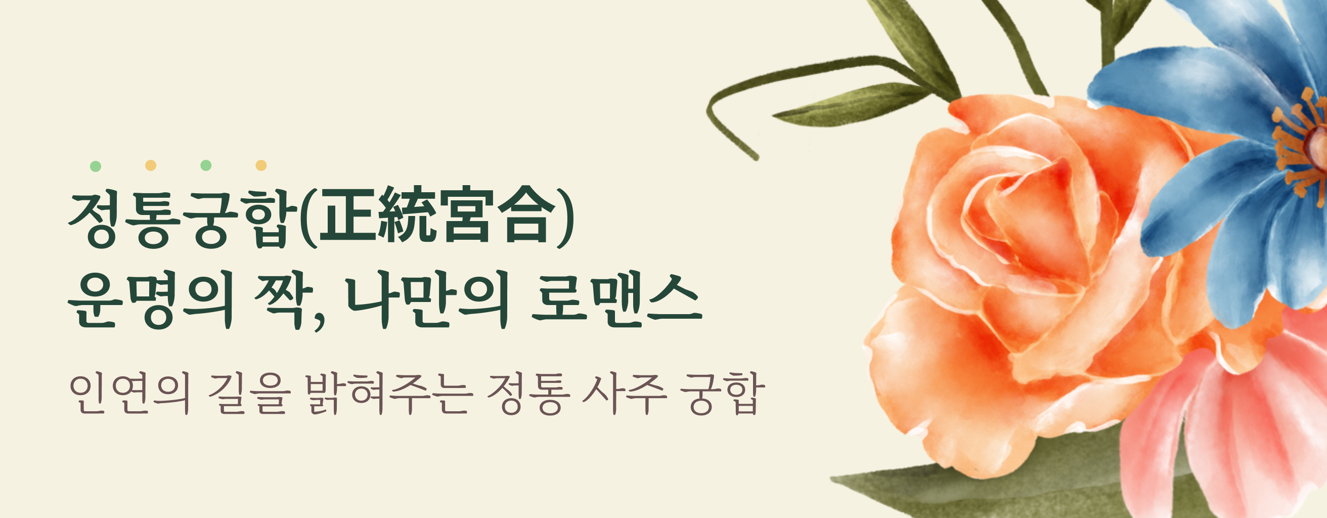 타로 이미지