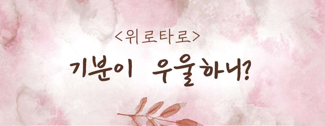 타로 이미지