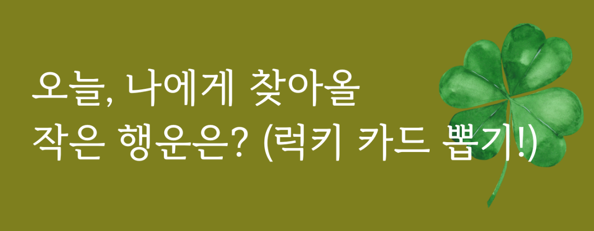 타로 이미지