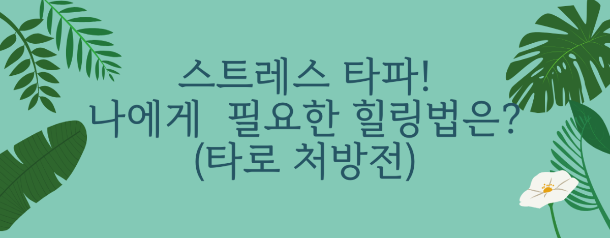 타로 이미지