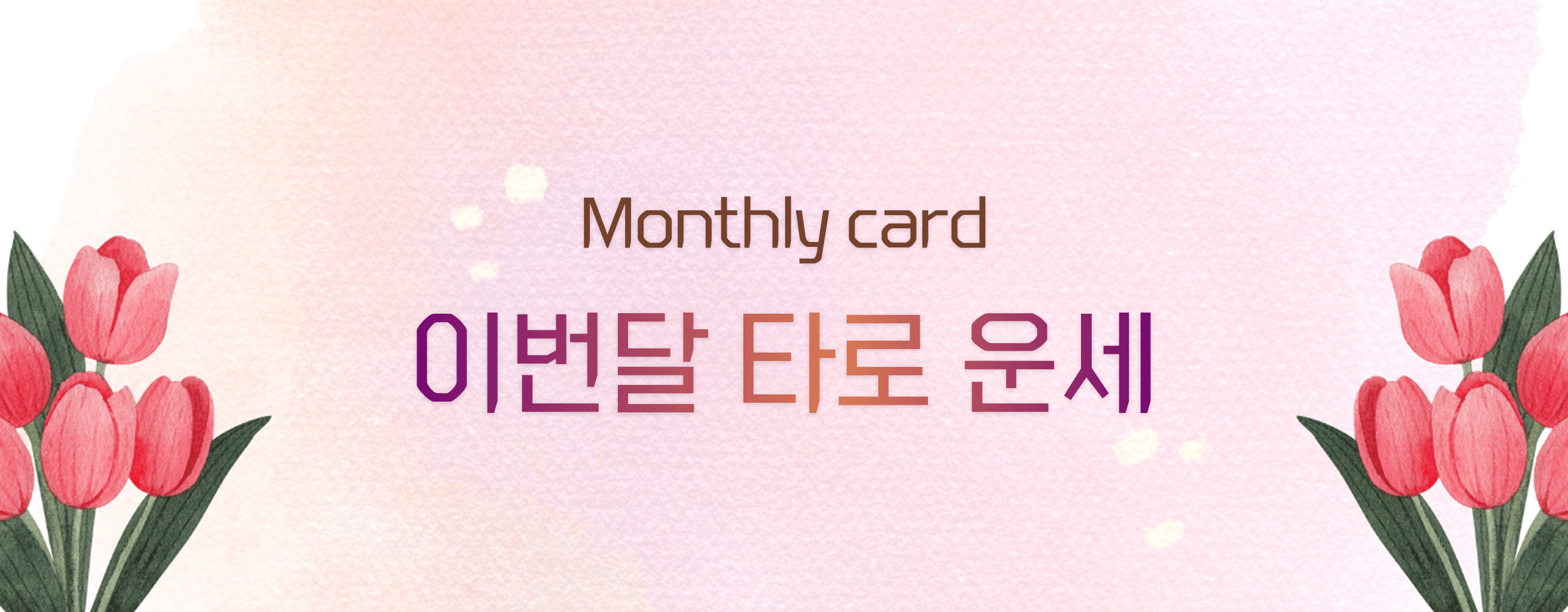 타로 이미지